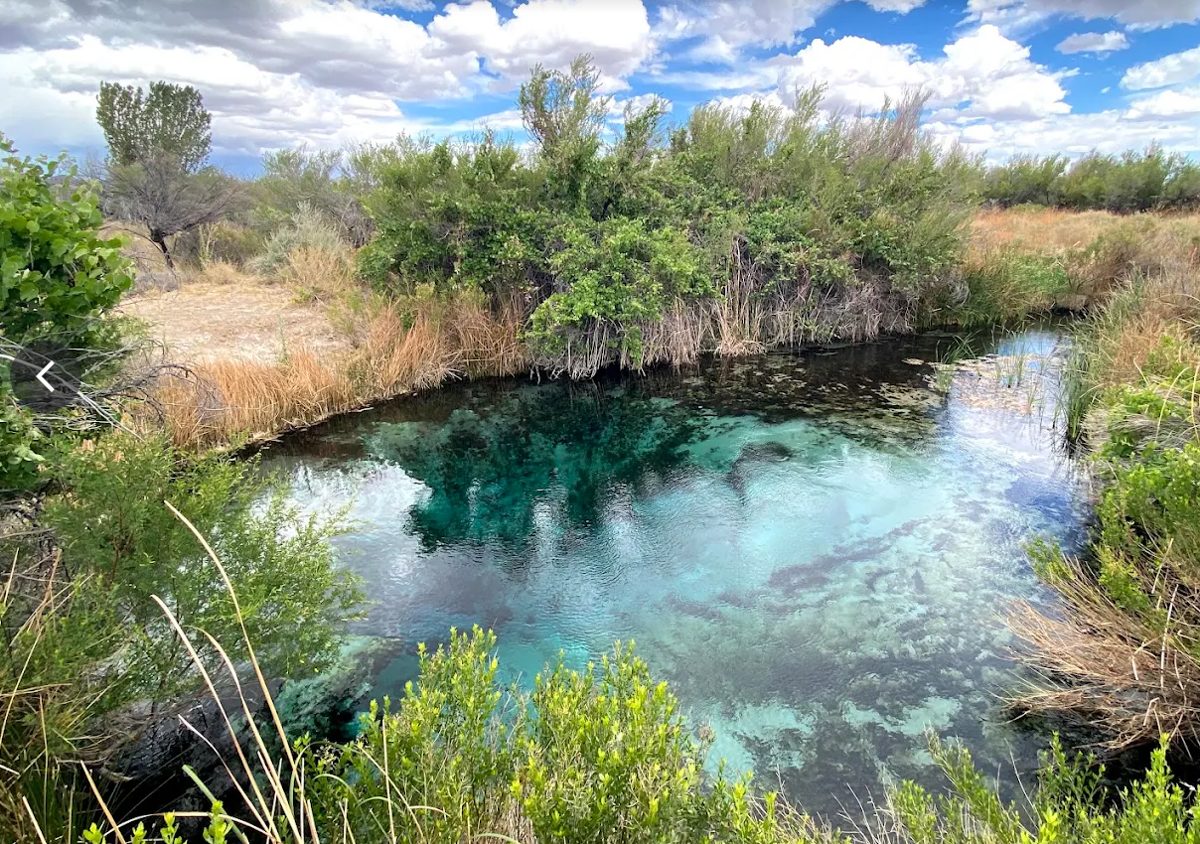 A spring-fed pool at Ash Meadows National Wildlife Refuge. Clear turquoise water over a pale rock bottom, ringed by green brush, reeds and desert grass under a blue sky.