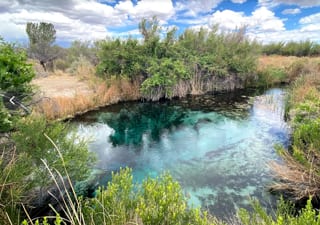 A spring-fed pool at Ash Meadows National Wildlife Refuge. Clear turquoise water over a pale rock bottom, ringed by green brush, reeds and desert grass under a blue sky.