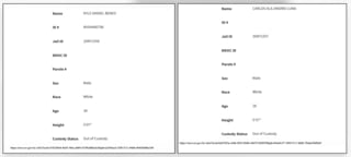 Two records side by side from Nevada S.A.V.E., the state custody database. Left: Kyle Daniel Benes, ID NV04480798, Jail ID 26NY1556, male, white, age 39, height five foot seven, Custody Status Out of Custody. Right: Carlos Alejandro Luna, Jail ID 26NY1557, male, white, age 28, height five foot seven, Custody Status Out of Custody. The save.nv.gov source URL for each record is printed beneath it.